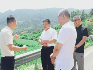 青田以慈善帮扶项目化管理 托起人人参与慈善公益美好愿景
